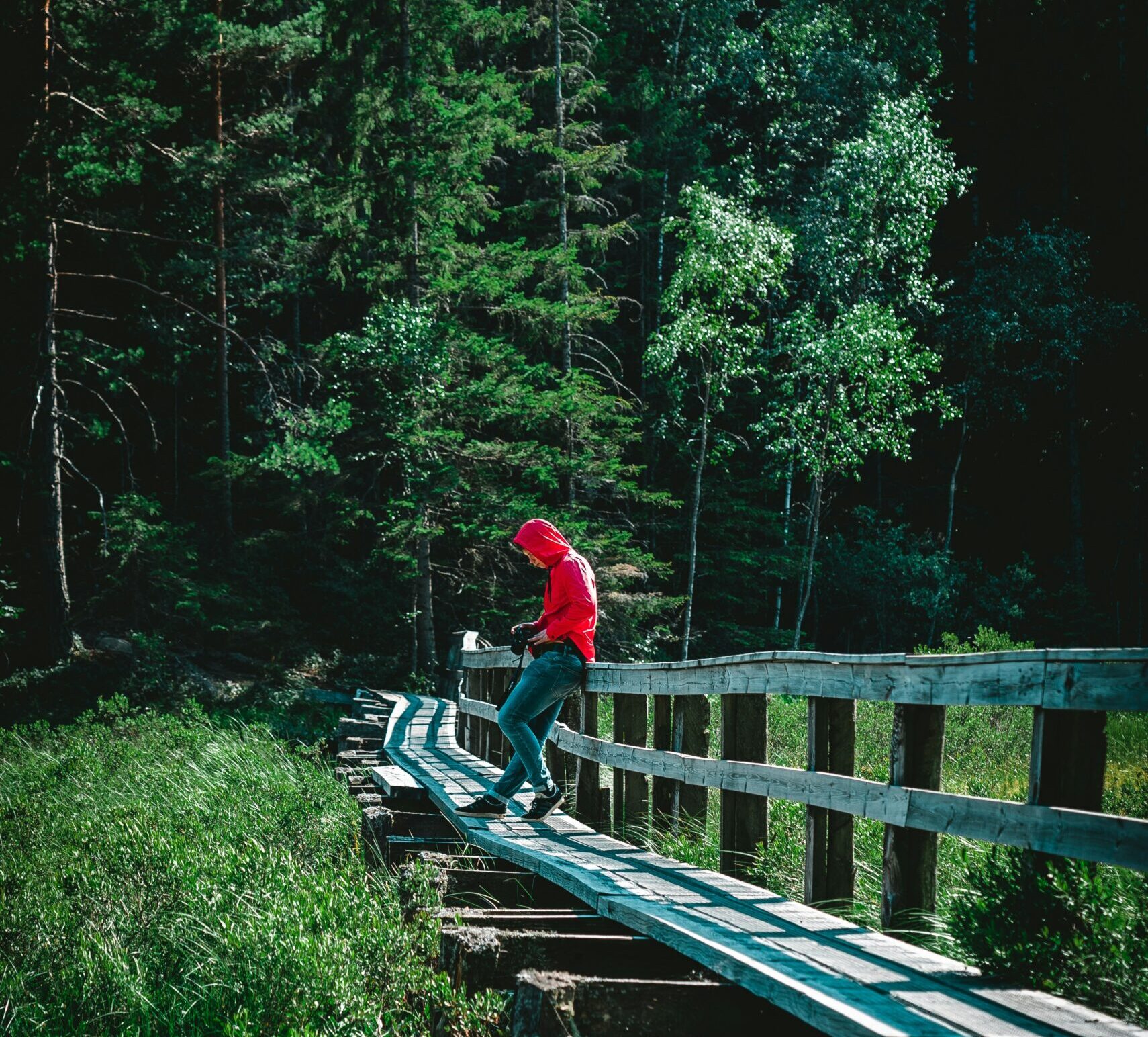 person på bro i skog